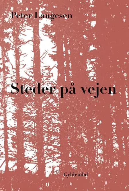 Steder på vejen af Peter Laugesen