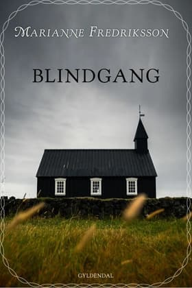 Blindgang af Marianne Fredriksson