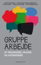 Gruppearbejde af Peter Brodersen, Karsten Agergaard, Stig Toke Gissel, Thomas Illum Hansen og Thomas R.S. Albrechtsen