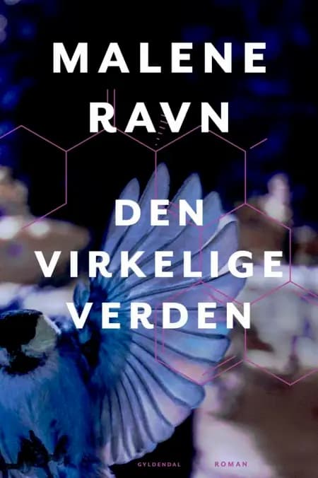 Den virkelige verden af Malene Ravn