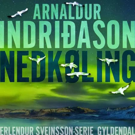 Nedkøling af Arnaldur Indridason