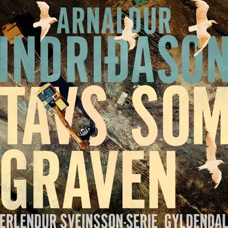 Tavs som graven af Arnaldur Indridason