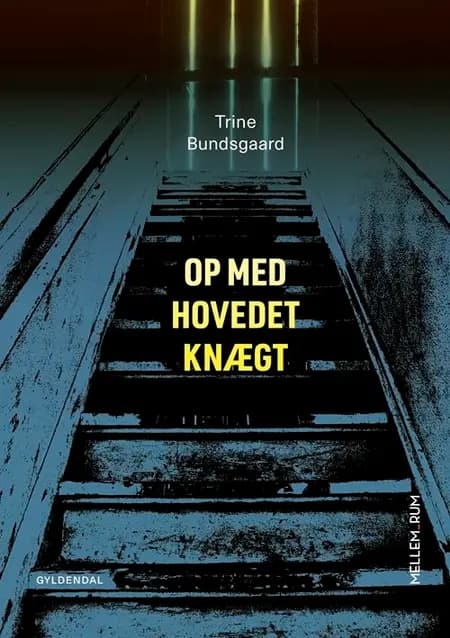 Op med hovedet knægt af Trine Bundsgaard