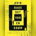 Hvis bare det var en drøm af Lone Elmstedt Bild