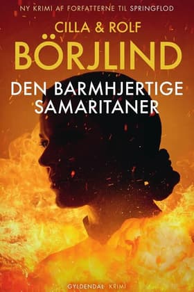Den barmhjertige samaritaner af Jan Christensen
