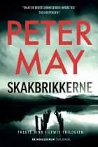 Skakbrikkerne
