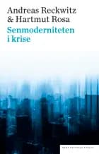 Senmoderniteten i krise af Andreas Reckwitz og Hartmut Rosa