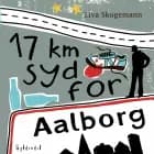 17 km syd for Aalborg af Liva Skogemann