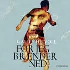 Før jeg brænder ned af Gaute Heivoll