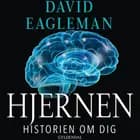 Hjernen af David Eagleman