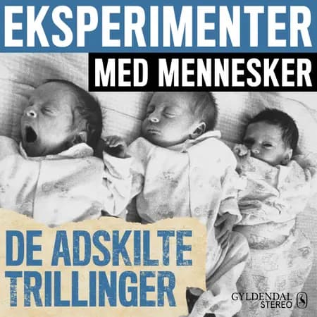 De adskilte trillinger af Gyldendal Stereo
