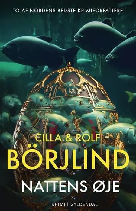 Nattens øje af Rolf Börjlind