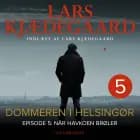 Dommeren i Helsingør 5