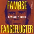 Den gale hund