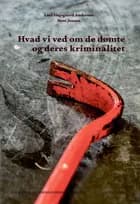 Hvad vi ved om de dømte og deres kriminalitet af Rockwool Fondens Forskningsenhed og Lars Højsgaard Andersen