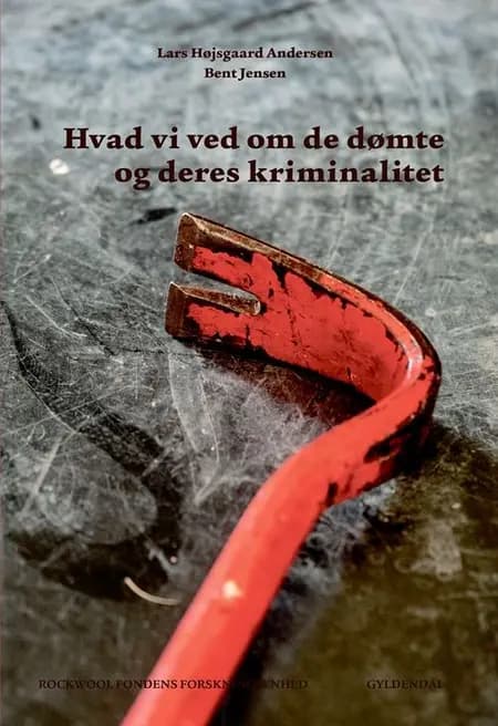 Hvad vi ved om de dømte og deres kriminalitet af Lars Højsgaard Andersen