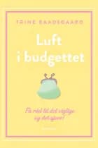 Luft i budgettet