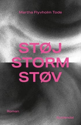 Støj, storm, støv af Martha Flyvholm Tode