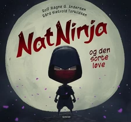 Natninja af Rolf Magne G. Andersen