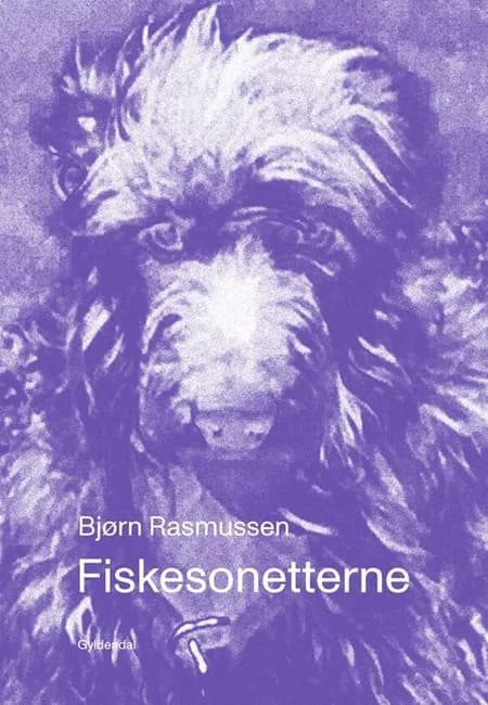 Fiskesonetterne af Bjørn Rasmussen