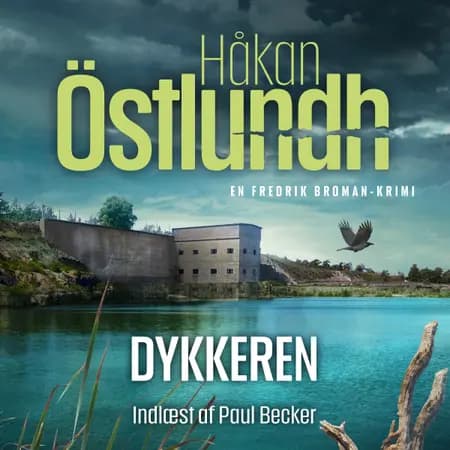 Dykkeren af Håkan Östlundh