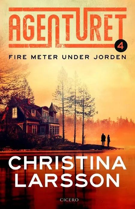 Fire meter under jorden af Christina Larsson