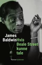 Hvis Beale Street kunne tale af James Baldwin