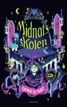 Midnatsskolen 2