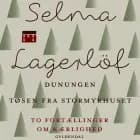 Dunungen og Tøsen fra Stormyrhuset