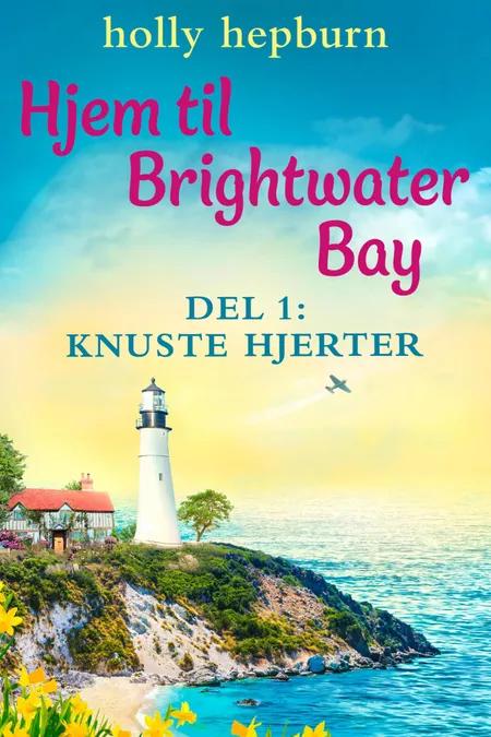 Hjem til Brightwater Bay 1: Knuste hjerter af Holly Hepburn