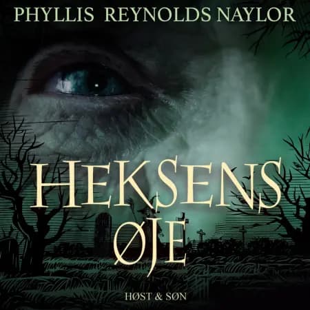 Heksens øje af Phyllis Reynolds Naylor