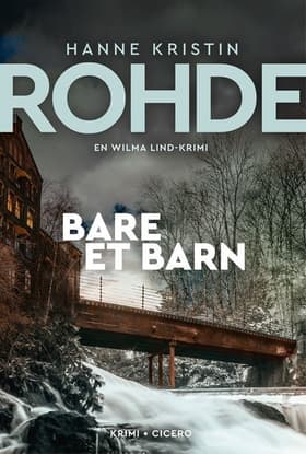 Bare et barn af Hanne Kristin Rohde