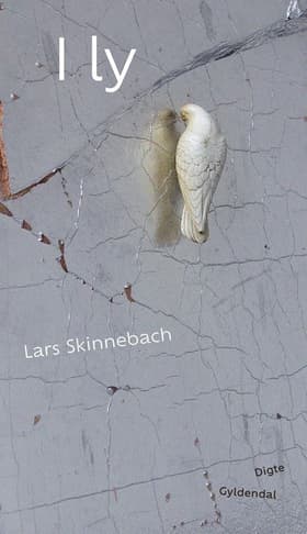 I ly af Lars Skinnebach