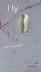 I ly af Lars Skinnebach