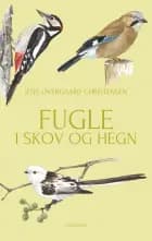 Fugle i skov og hegn
