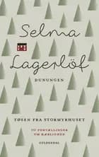 Dunungen og Tøsen fra Stormyrhuset