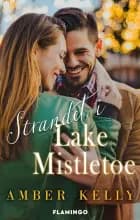 Strandet i Lake Mistletoe af Amber Kelly