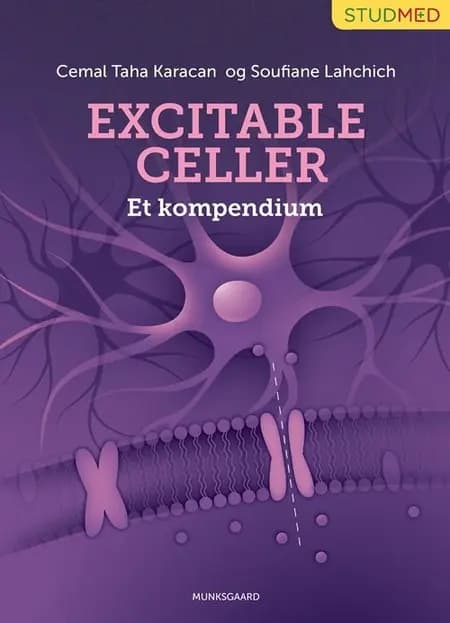 Excitable celler - et kompendium af Soufiane Lahchich