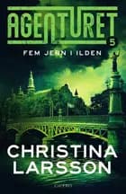 Agenturet 5 - Fem jern i ilden af Christina Larsson