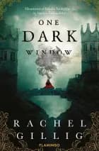 One Dark Window af Rachel Gillig