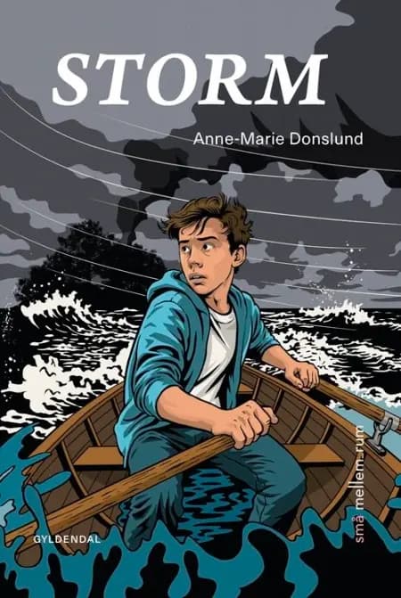 små mellem_rum. Storm af Anne-Marie Donslund