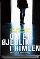 Om et øjeblik i himlen