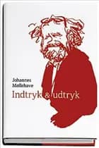 Indtryk og udtryk