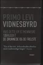 Vidnesbyrd