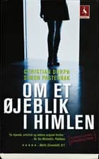 Om et øjeblik i himlen (pocket)
