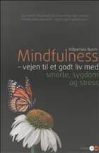 Mindfulness