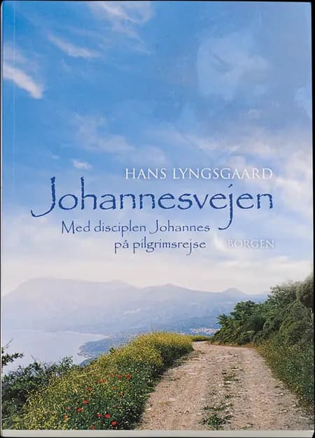 Johannesvejen af Hans Lyngsgaard