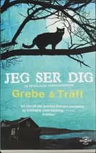 Jeg ser dig