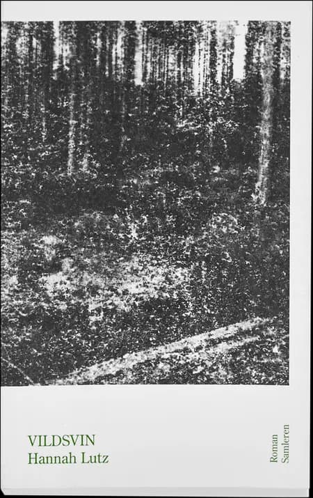 Vildsvin af Jan Christensen