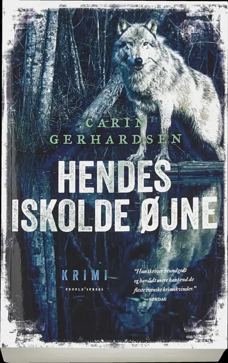 Hendes iskolde øjne af Carin Gerhardsen